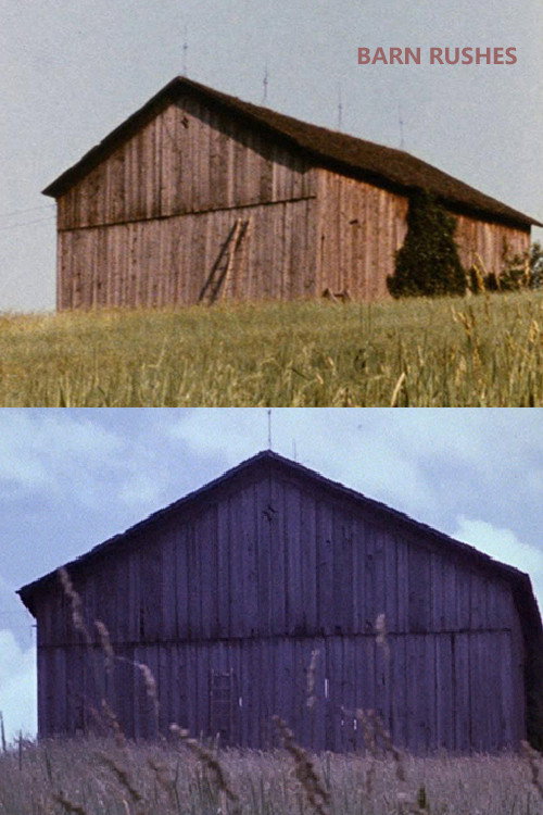 Movie poster for Barn Rushes (1971)