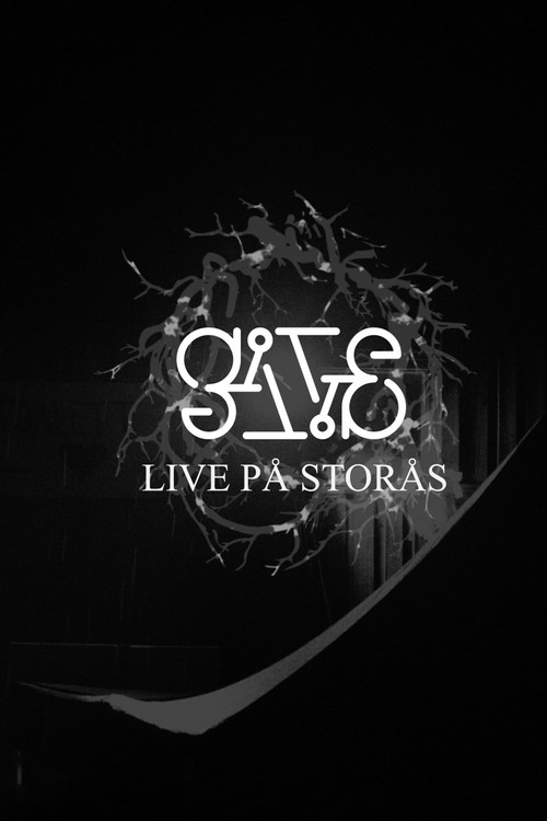 Movie poster for Gåte på Storås (2019)