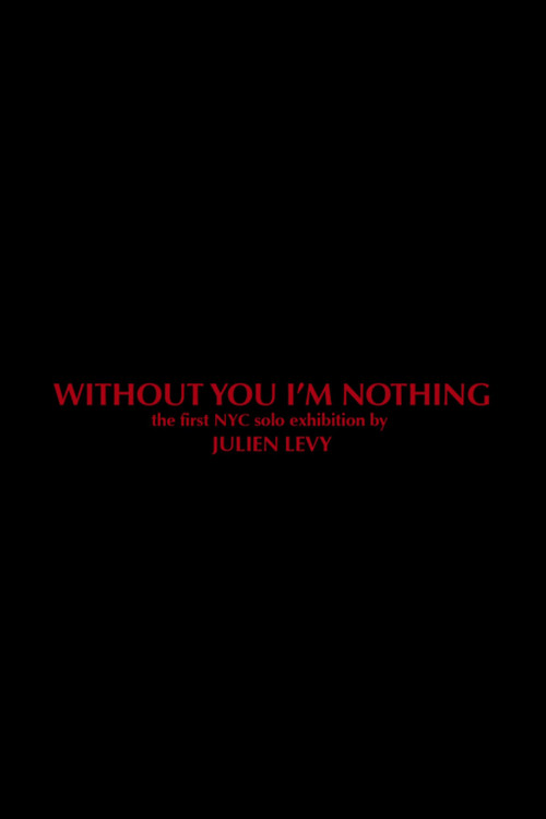 Movie poster for Without You I'm Nothing (2014)