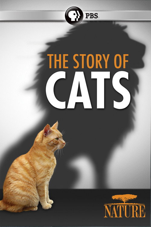 Movie poster for The Story of Cats (2016)