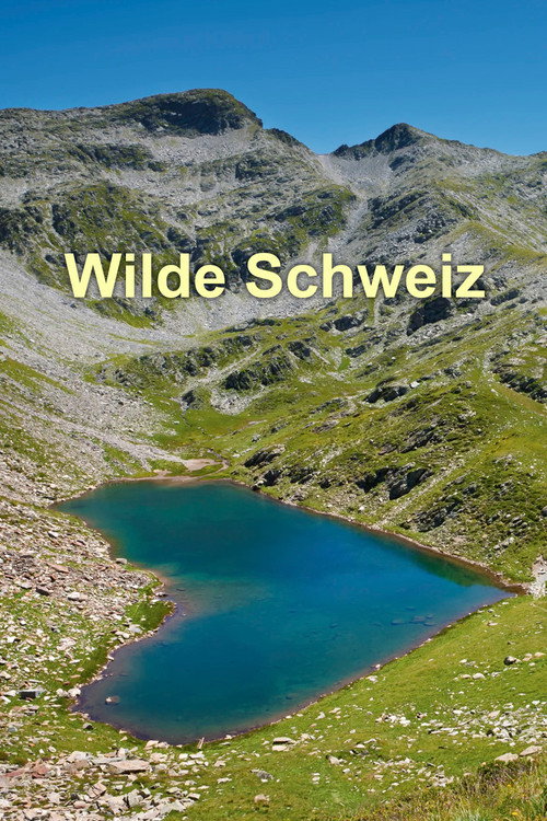 Series poster for Wilde Schweiz (2022)