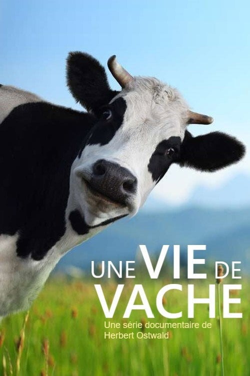 Series poster for The Secret Life of Cows (2021)