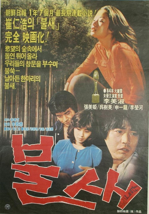 Movie poster for The Bird of Fire (1980)
