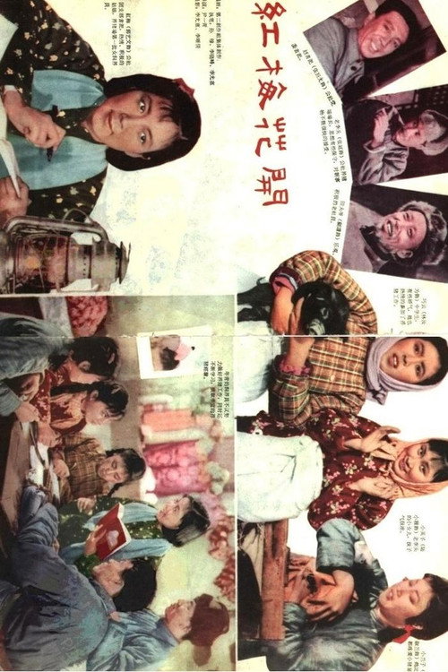 Movie poster for 红梅花开 (1960)