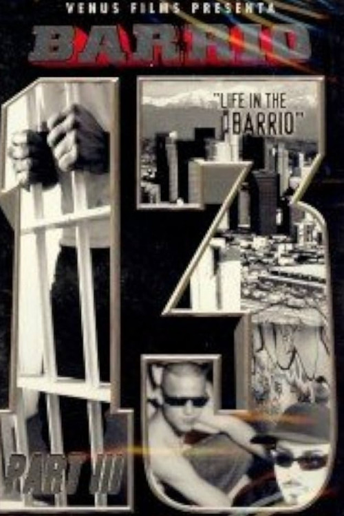 Movie poster for Barrio 13 Parte III (2002)