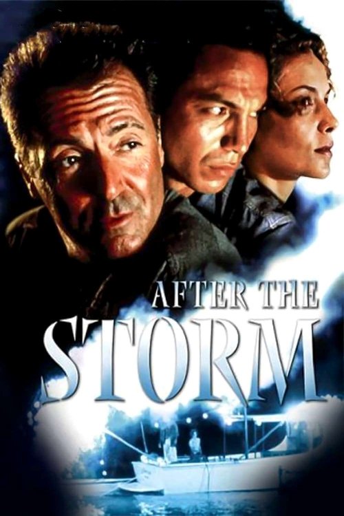 Movie poster for After the Storm (2001)