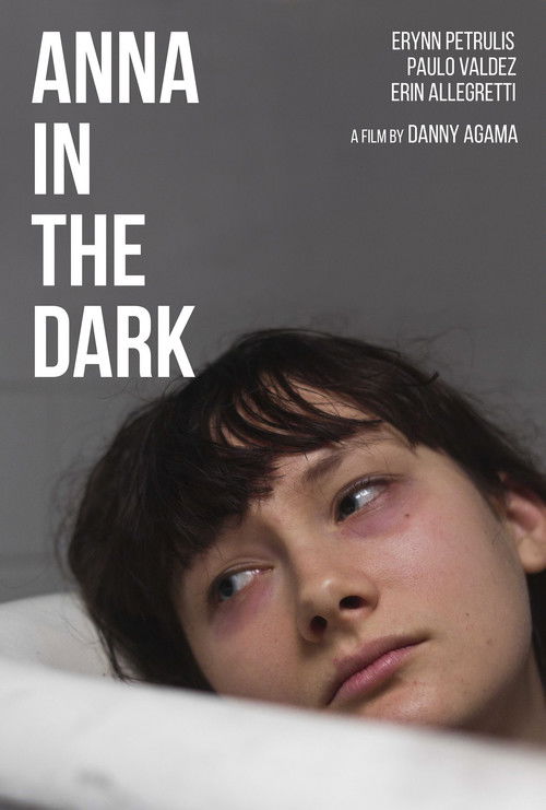 Movie poster for Anna in the Dark (2014)