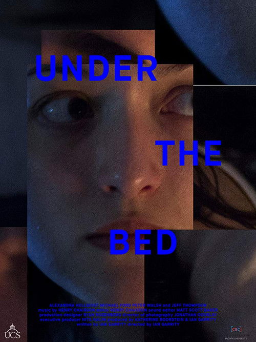 Movie poster for Under the Bed (2016)