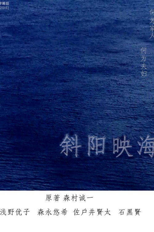 Movie poster for 海の斜光 (2014)