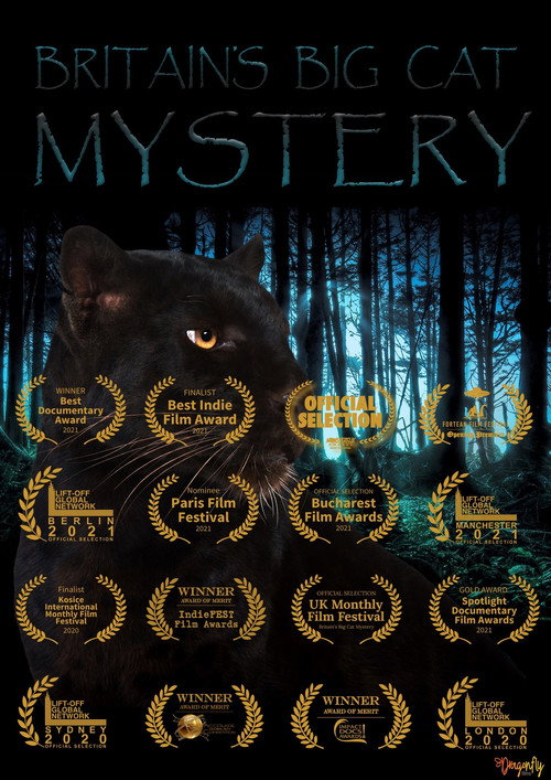 Movie poster for Britain's Big Cat Mystery (2021)