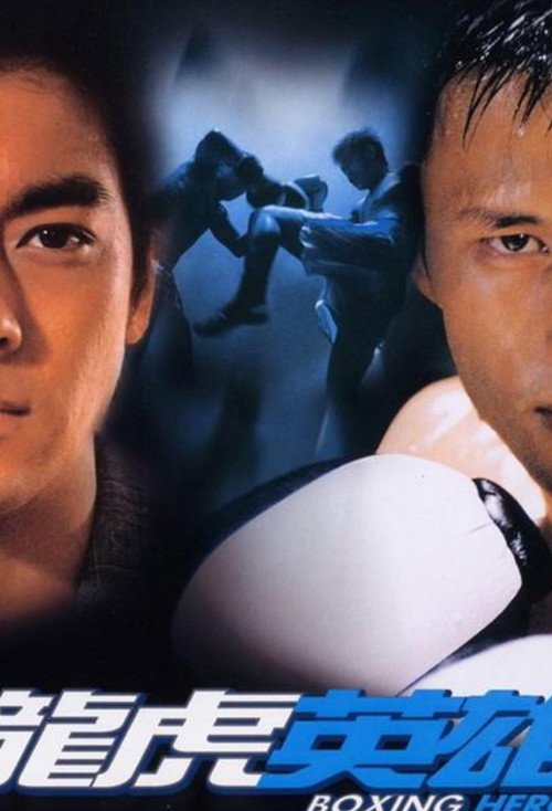 Movie poster for Boxing Hero (2003)