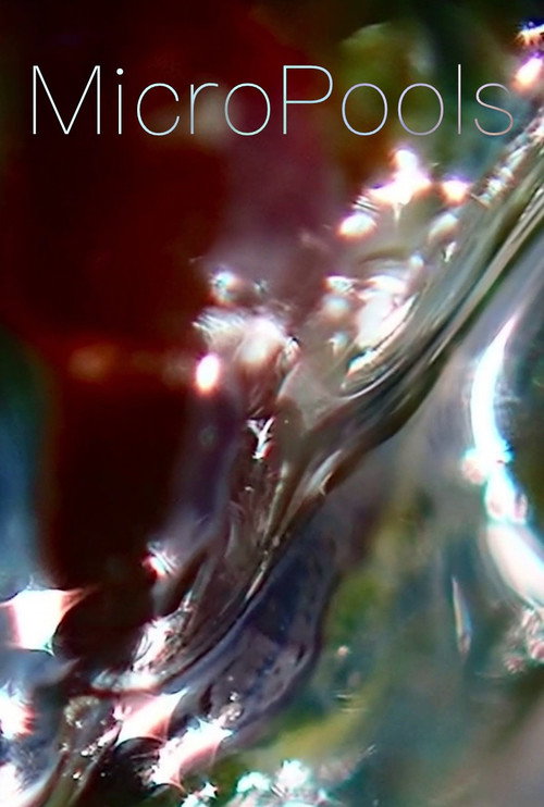 Movie poster for MicroPools (2026)