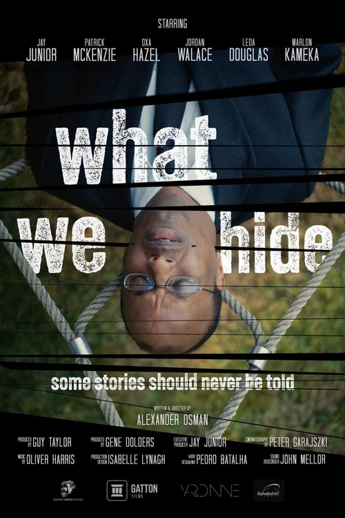 Movie poster for What We Hide (2024)