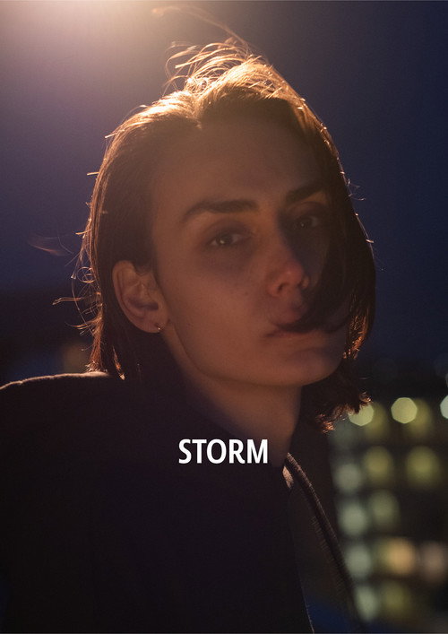 Movie poster for Storm