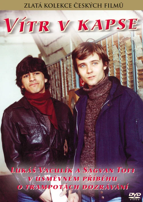 Movie poster for Vítr v kapse (1983)