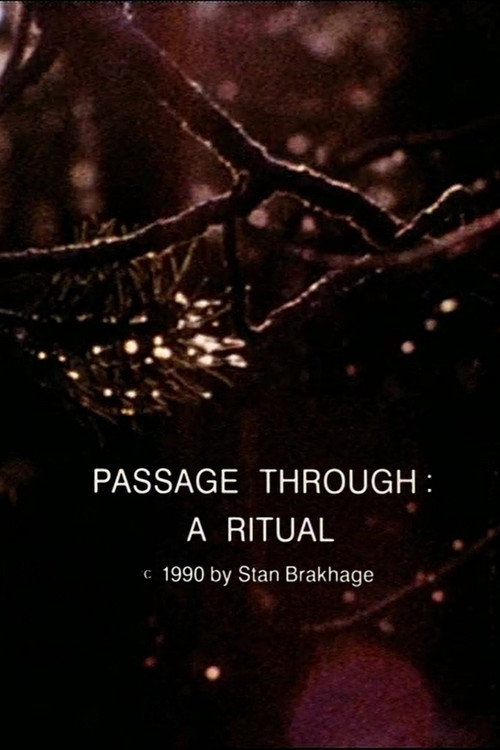 Movie poster for Passage Through: A Ritual (1990)