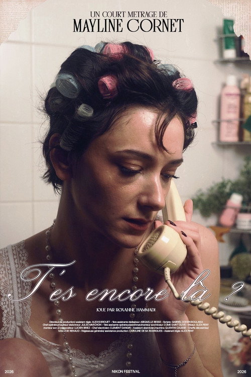 Movie poster for T'es encore là ?