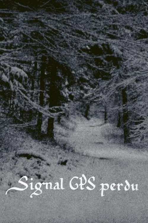 Movie poster for GPS Signal Lost (2024)