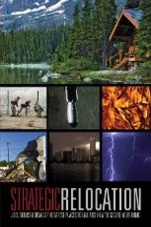 Movie poster for Strategic Relocation (2012)