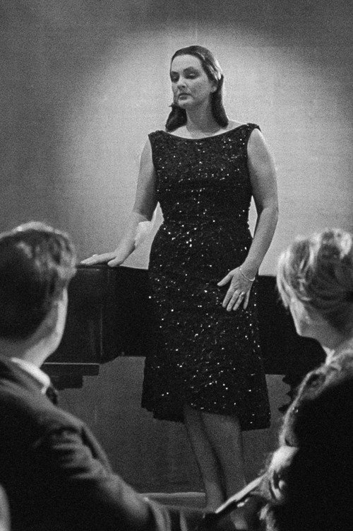 Movie poster for Evening at the Starlings (1960)
