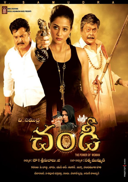Movie poster for Chandi: The Power of Woman (2013)