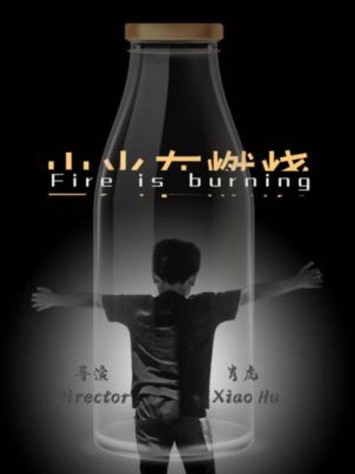Movie poster for Fire is Burning (2024)