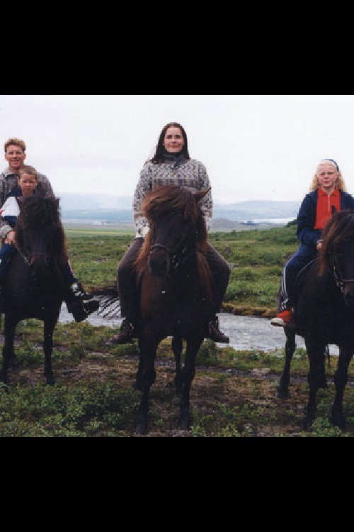 Movie poster for A Midsummer´s Journey - A view of Iceland (1997)