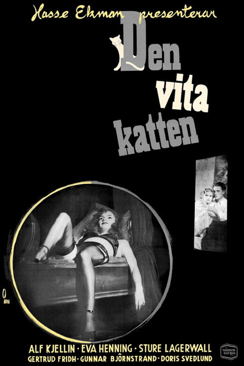 Movie poster for The White Cat (1950)
