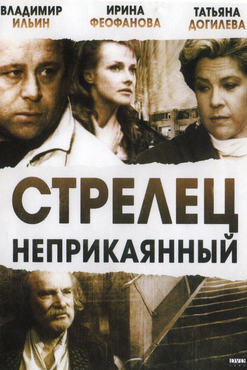 Movie poster for Wandering Sagittarius (1993)