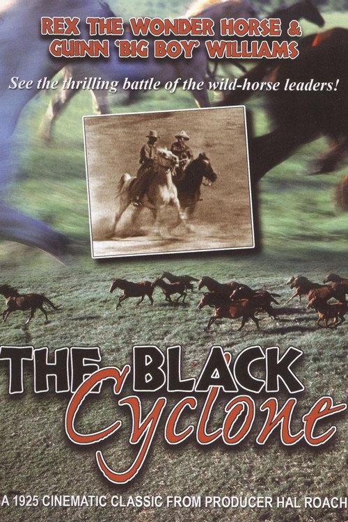 Movie poster for The Black Cyclone (1925)