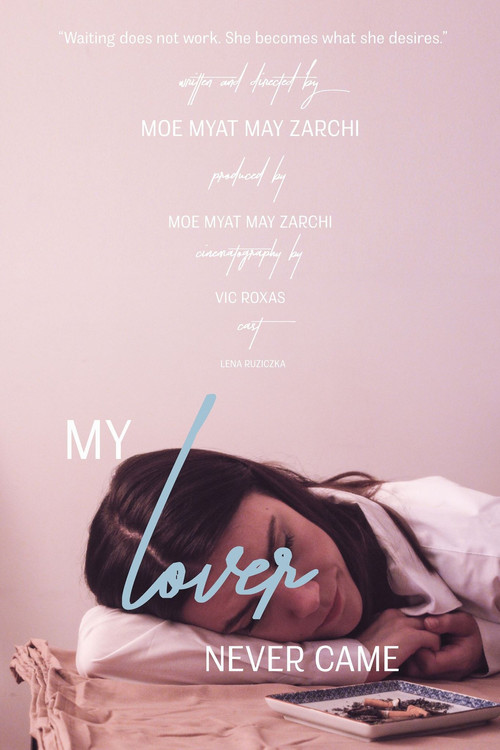 Movie poster for My Lover Never Came (2017)