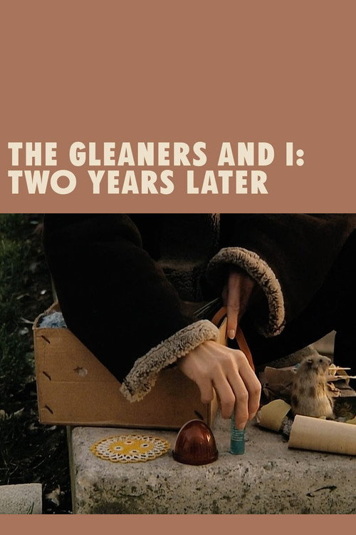Movie poster for The Gleaners and I: Two Years Later (2002)
