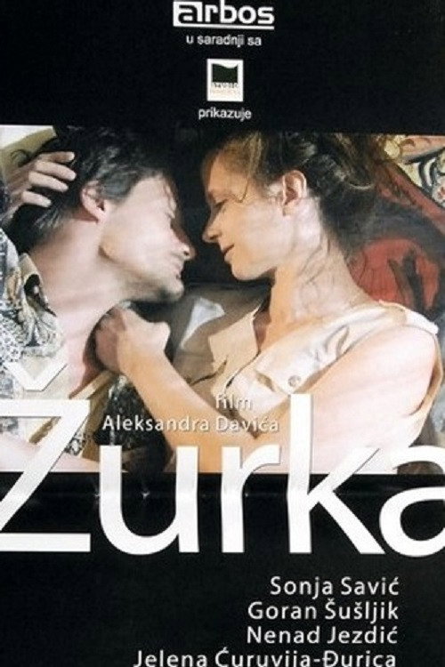 Movie poster for The Party (2004)