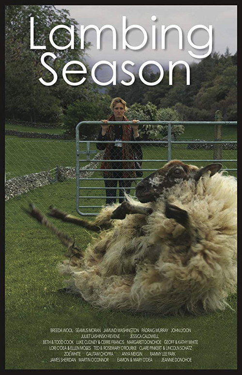 Movie poster for Lambing Season (2014)
