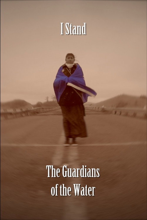 Movie poster for I Stand: The Guardians of the Water (2017)
