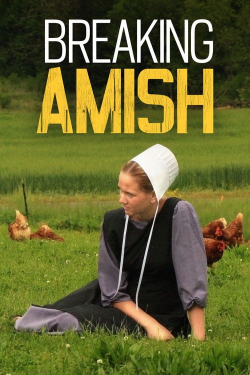 Series poster for Breaking Amish (2012)