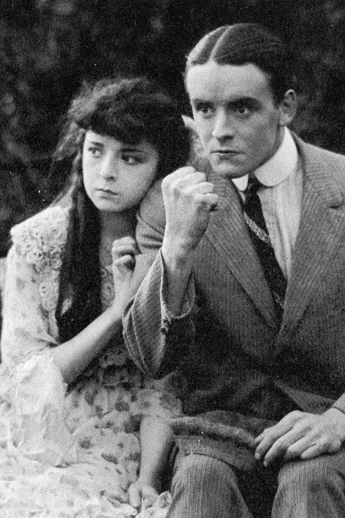 Movie poster for The Bad Boy (1917)