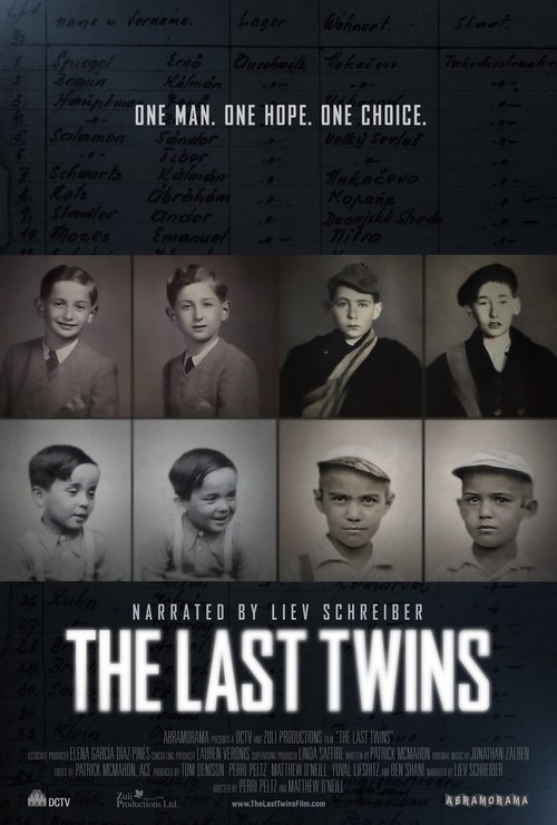 Movie poster for The Last Twins (2025)
