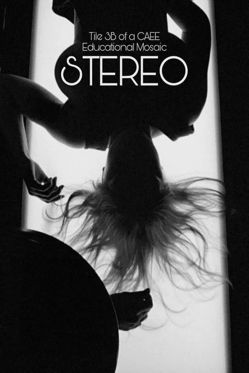Movie poster for Stereo (Tile 3B of a CAEE Educational Mosaic) (1969)