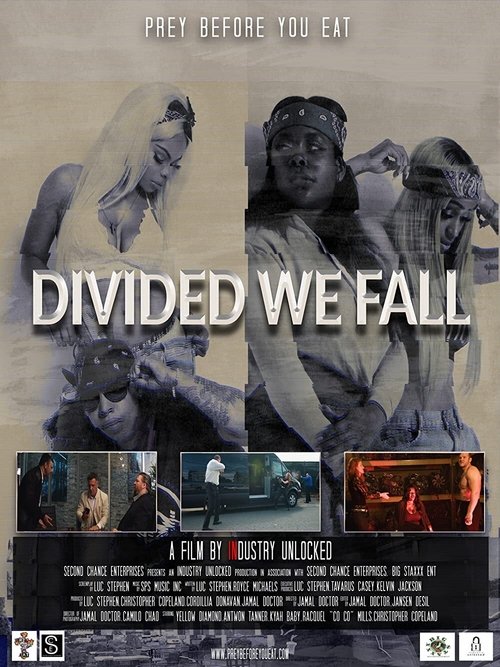 Movie poster for Divided We Fall (2021)