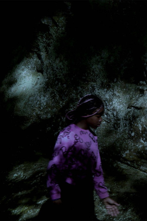 Movie poster for The Creature of Darkness (2026)