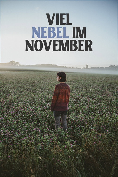 Movie poster for November Fog (2025)