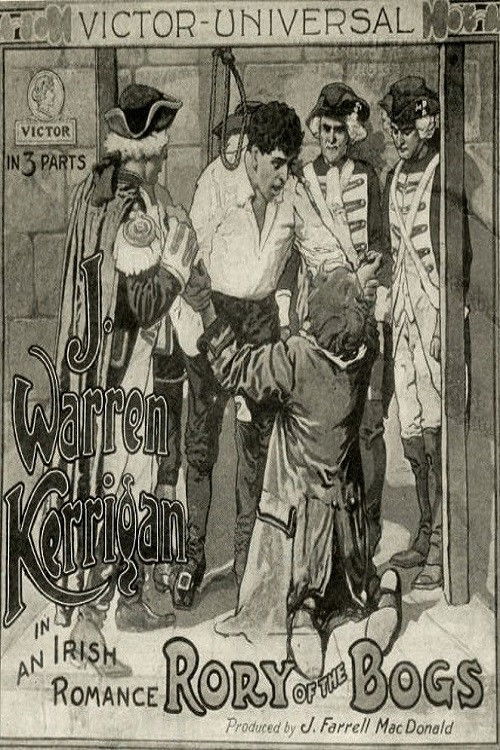 Movie poster for Rory o' the Bogs (1913)