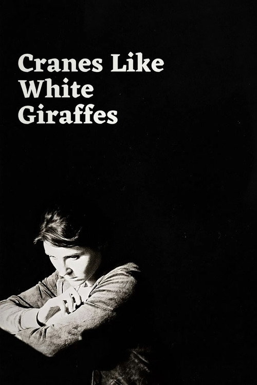 Movie poster for Cranes Like White Giraffes (2025)