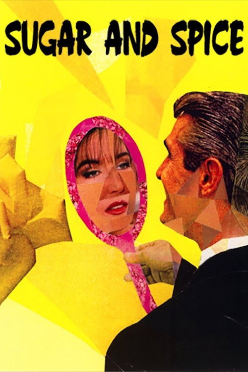 Movie poster for Sugar & Spice (1995)