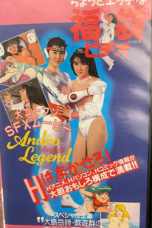 Movie poster for A Slightly Naughty Lucky Bag Video (1990)