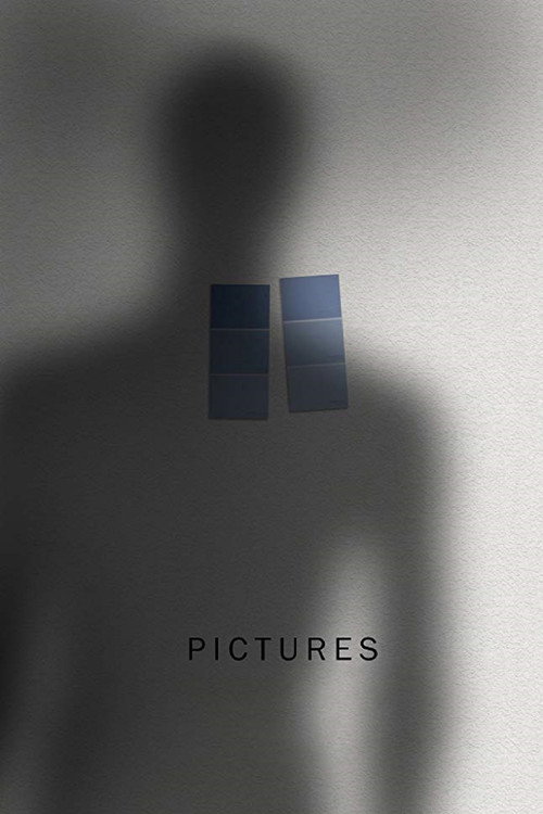 Movie poster for Pictures (2015)