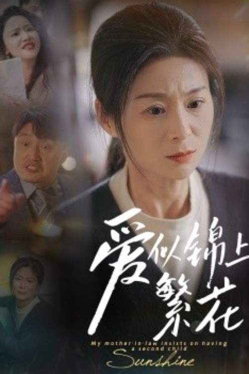 爱似锦上繁花 poster