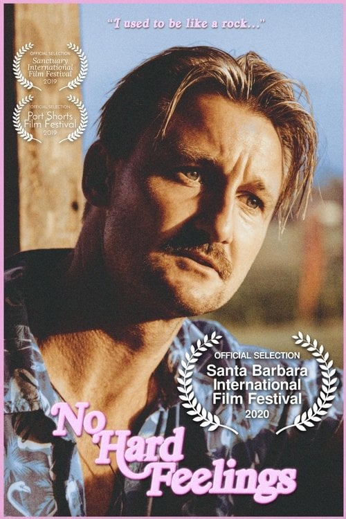 Movie poster for No Hard Feelings (2020)