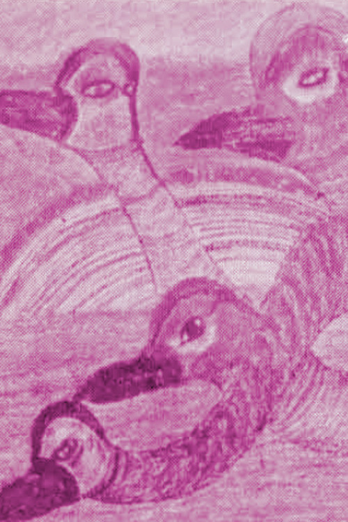 Movie poster for José Joaquín Barrero (1971)